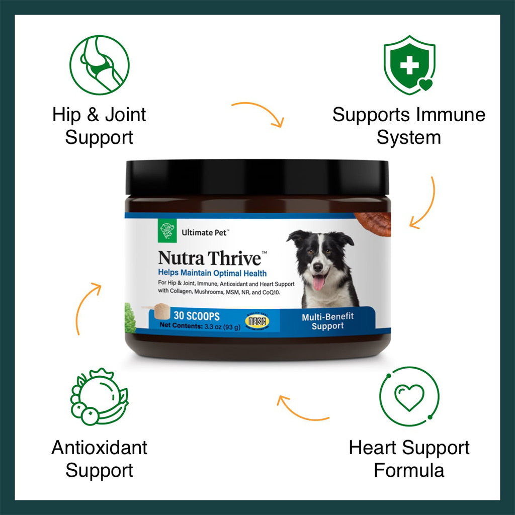 Ultimate Pet Nutrition Nutra Thrive Nutritional Supplements for Dogs, 3.3-oz