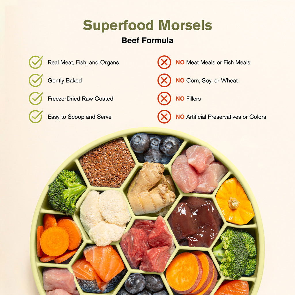 Badlands Ranch Superfood Complete Raw Coated Morsels Beef Dog
