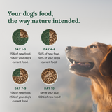 360 Pet Nutrition Chicken Freeze-Dried Raw Complete Meal for Adult Dogs