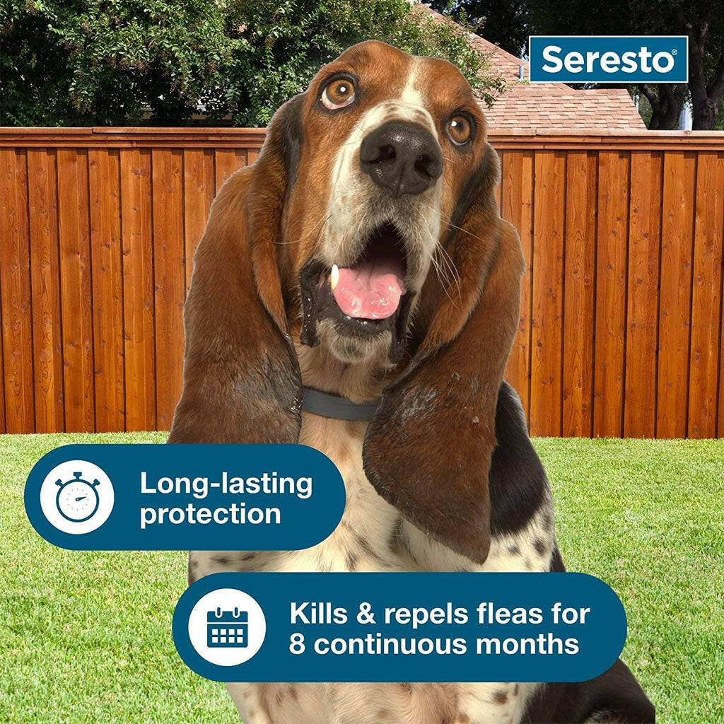 Seresto Flea & Tick Collar for Dogs, Over 18 lbs + Seresto Flea & Tick Collar for Dogs, Up to 18 lbs