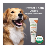 Pure & Natural Pet Organic Dental Solutions Canine Tooth Gel- 3oz. tube