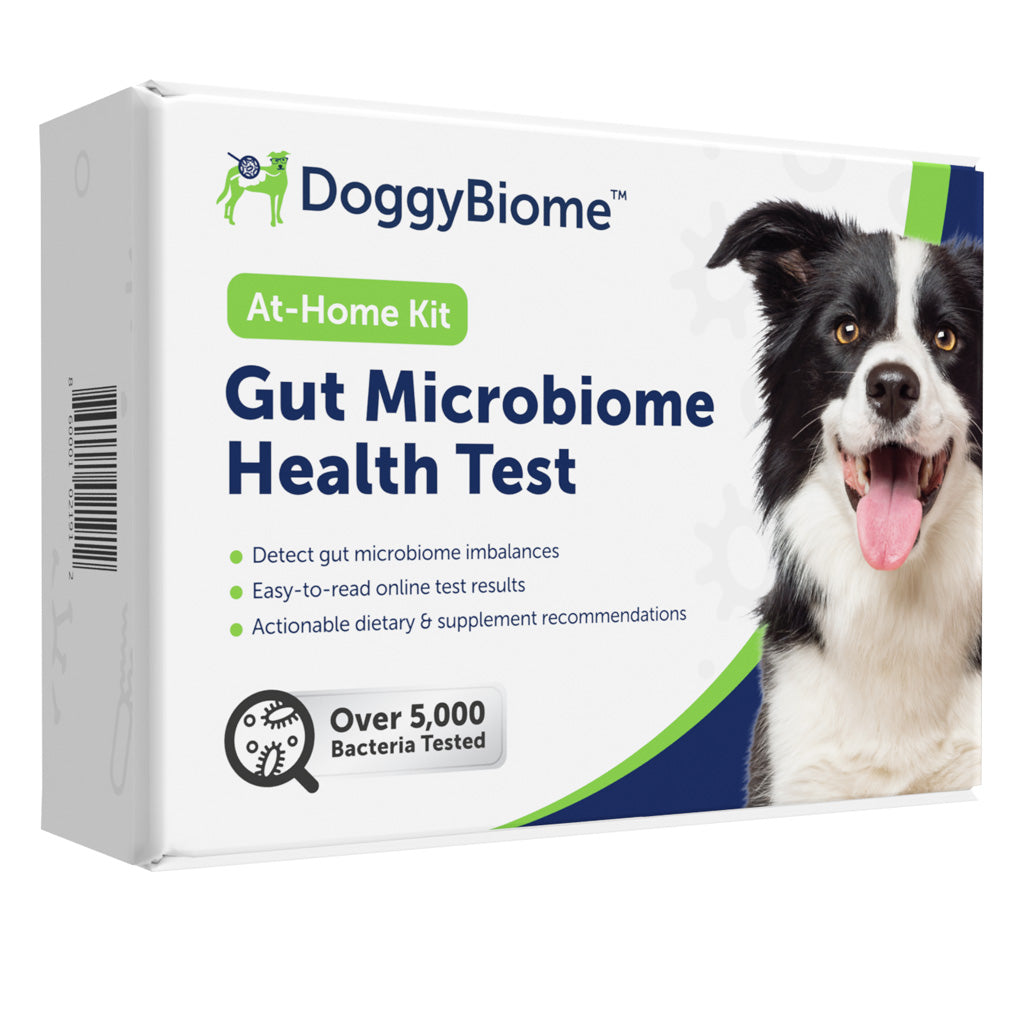 Doggy Biome At-Home Kit Gut Microbiome Health Test for Dogs
