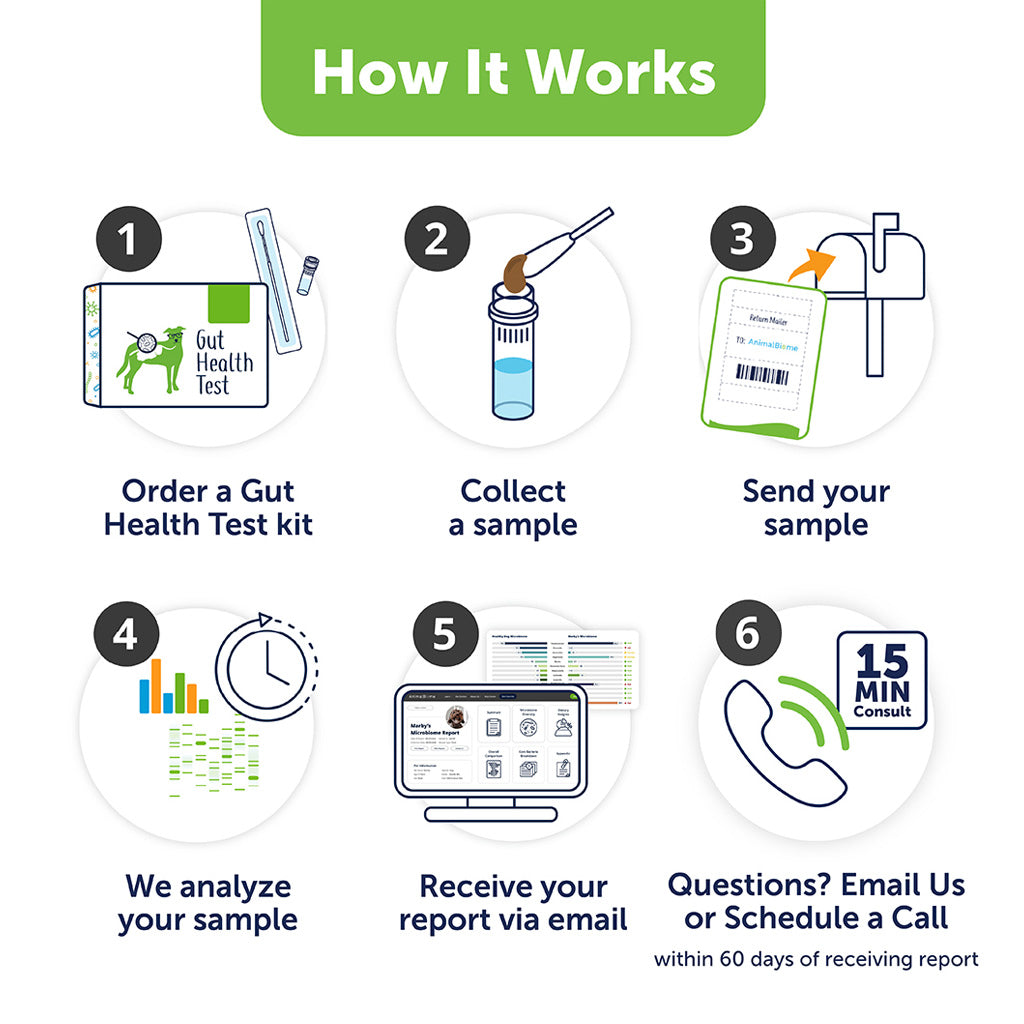 Doggy Biome At-Home Kit Gut Microbiome Health Test for Dogs
