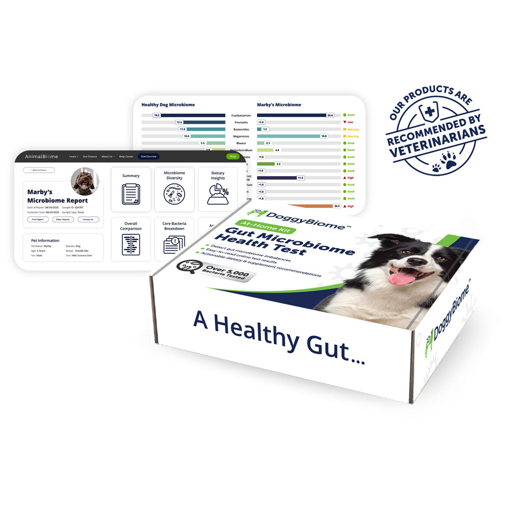 Doggy Biome At-Home Kit Gut Microbiome Health Test for Dogs