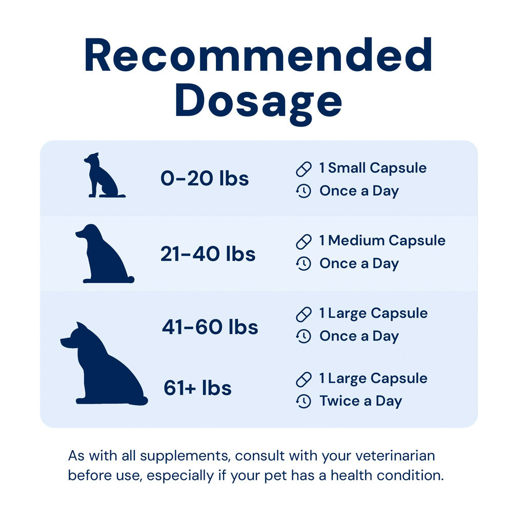 Doggy Biome GMP Gut Maintenance Plus for Dogs, 60-count