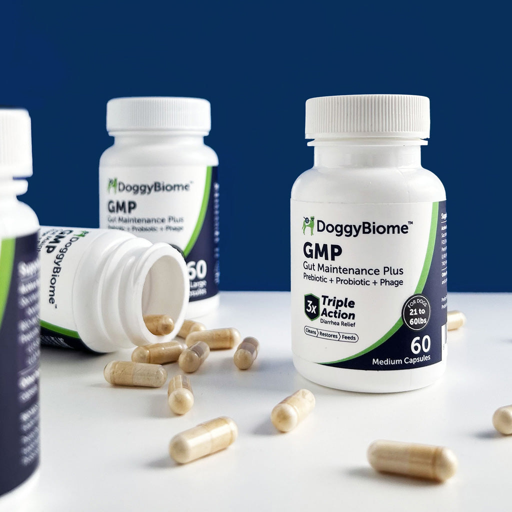 Doggy Biome GMP Gut Maintenance Plus for Dogs, 60-count