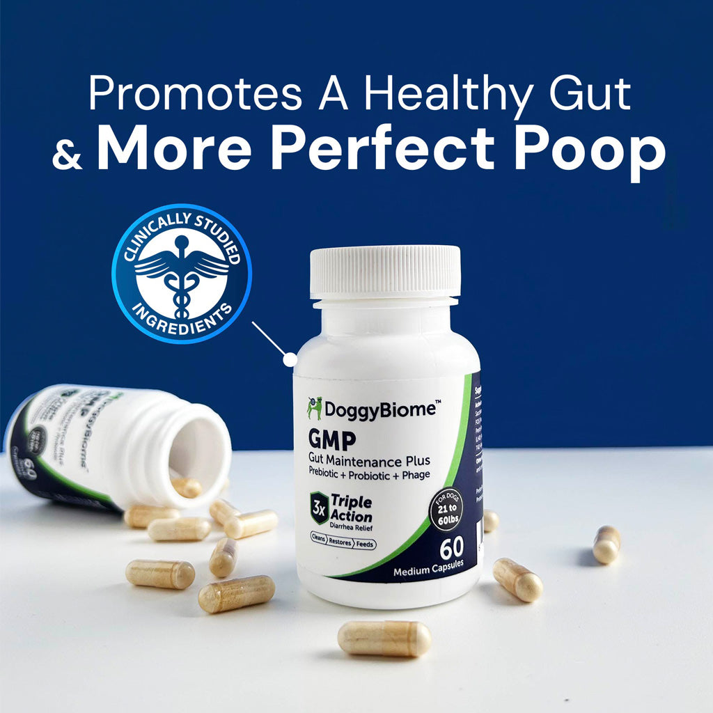 Doggy Biome GMP Gut Maintenance Plus for Dogs, 60-count