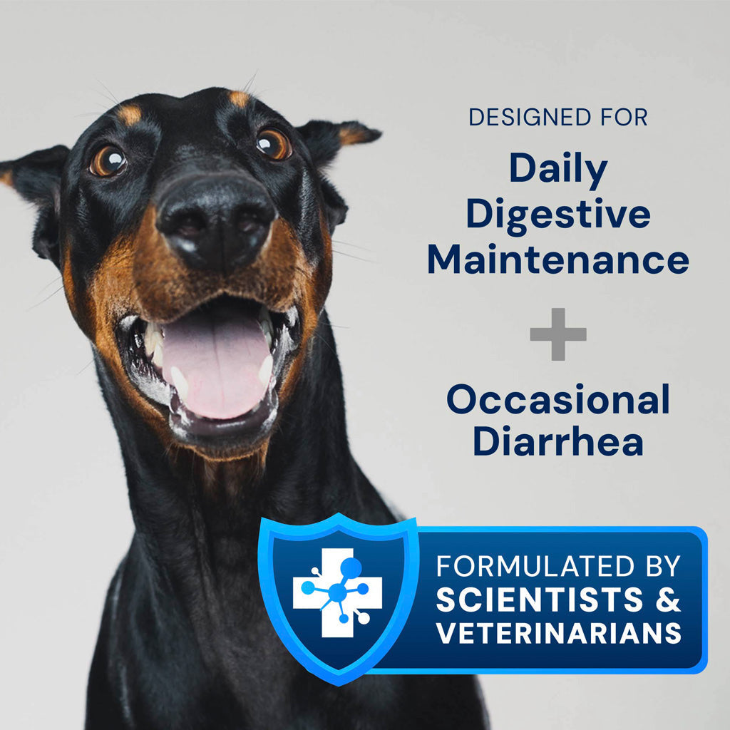 Doggy Biome GMP Gut Maintenance Plus for Dogs, 60-count