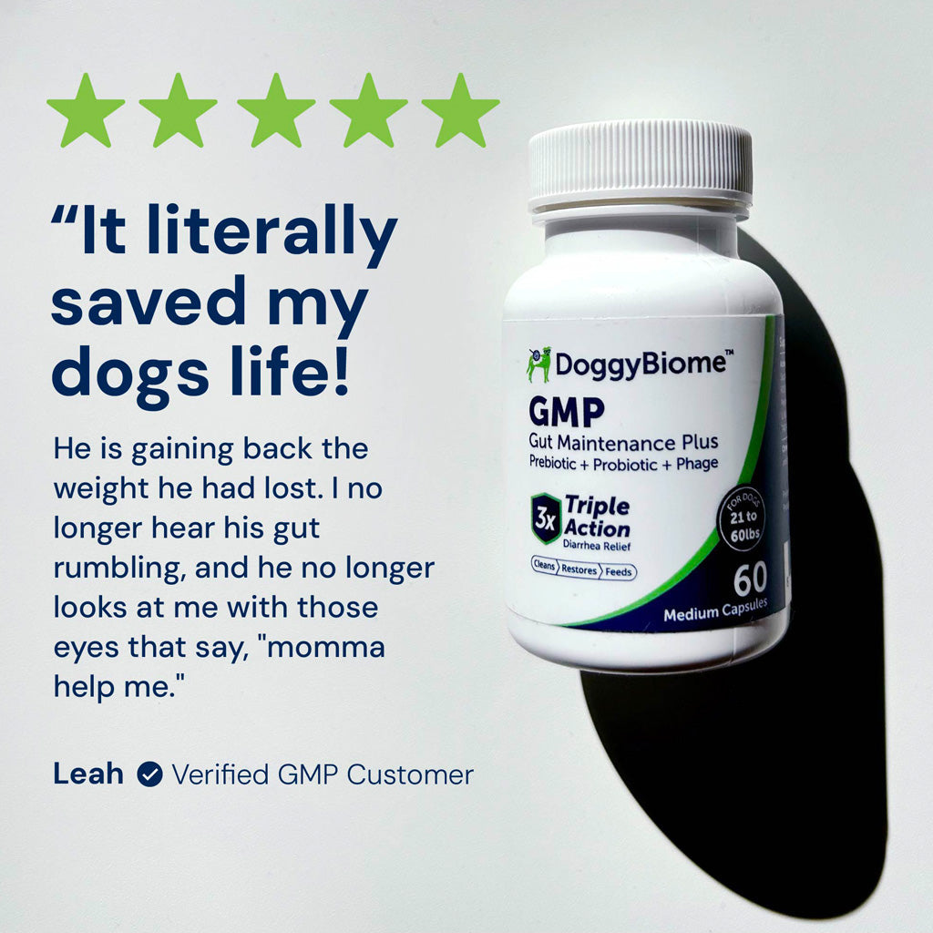 Doggy Biome GMP Gut Maintenance Plus for Dogs, 60-count