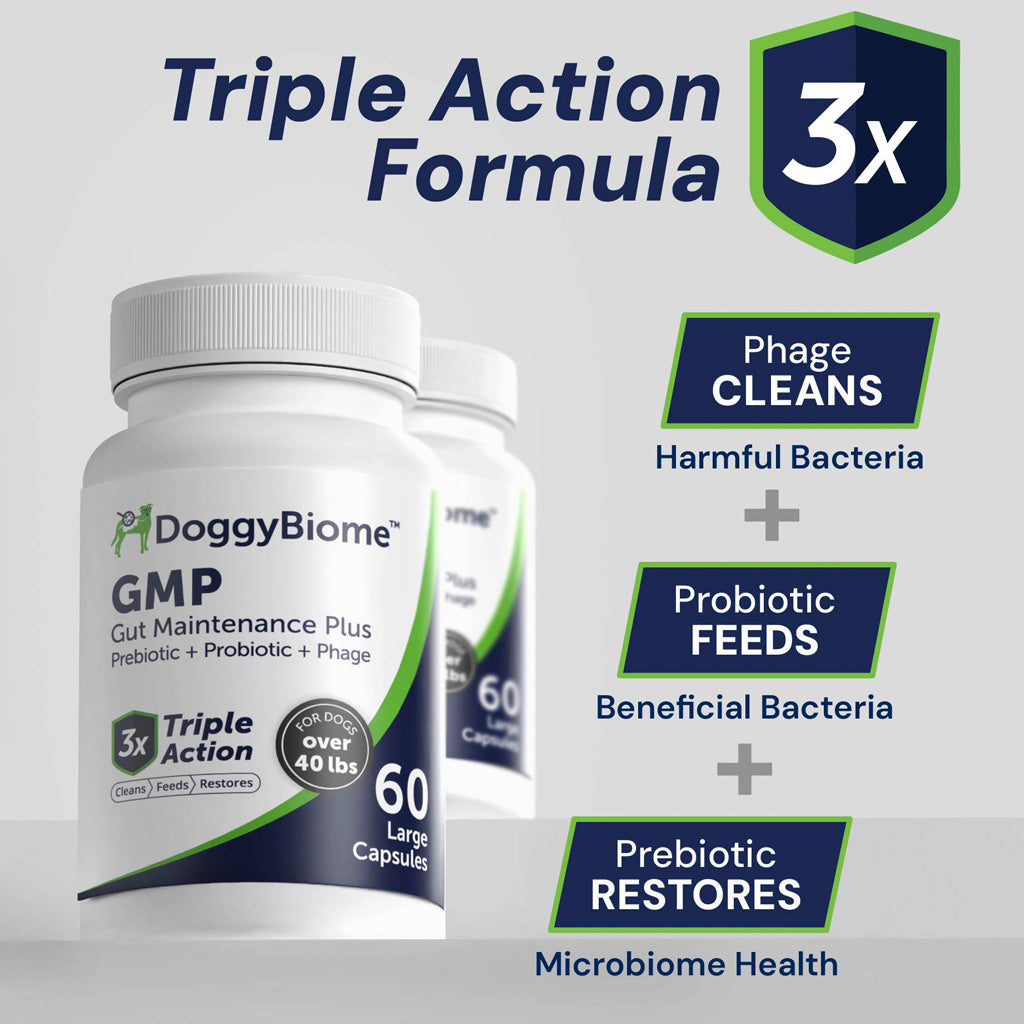 Doggy Biome GMP Gut Maintenance Plus for Dogs, 60-count