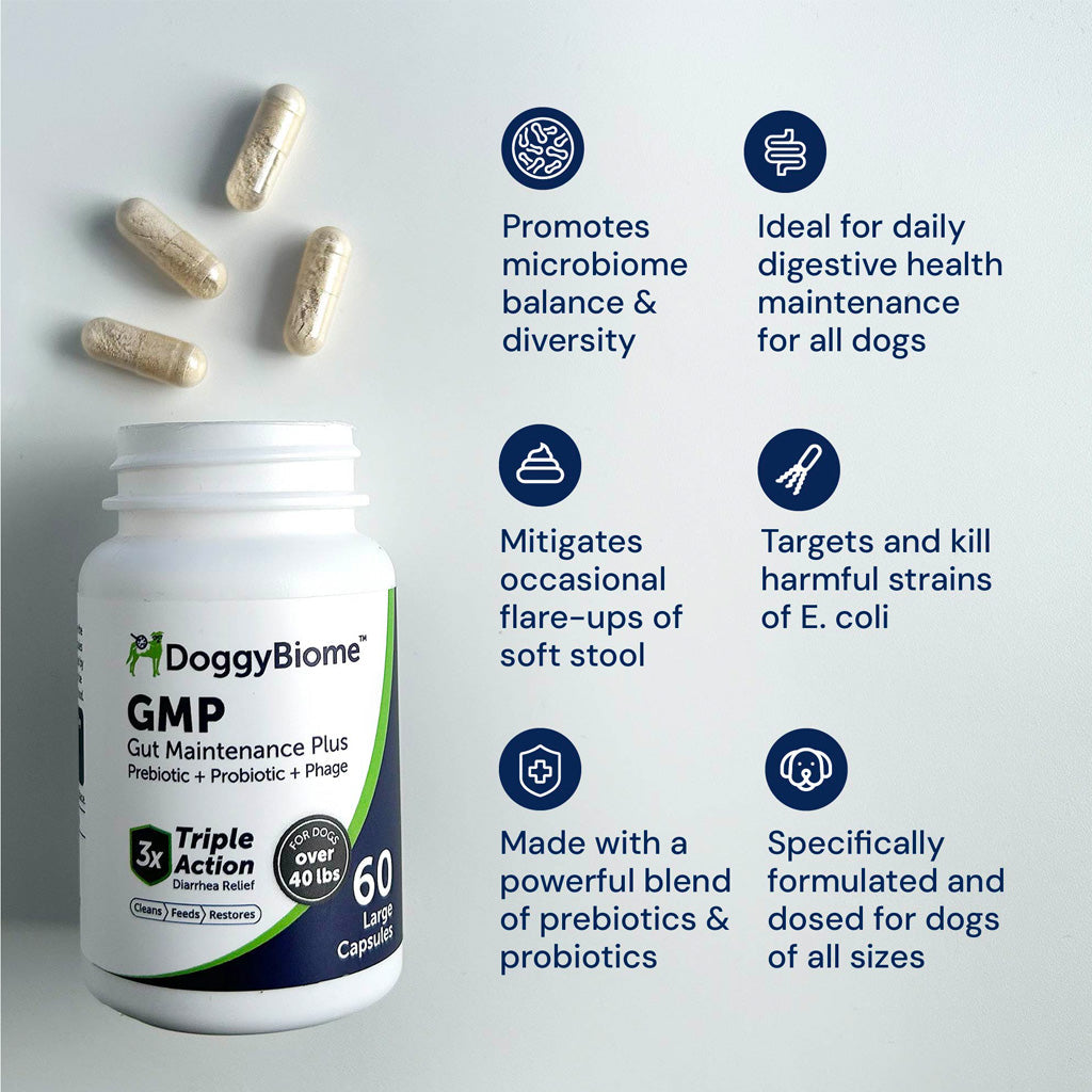 Doggy Biome GMP Gut Maintenance Plus for Dogs, 60-count