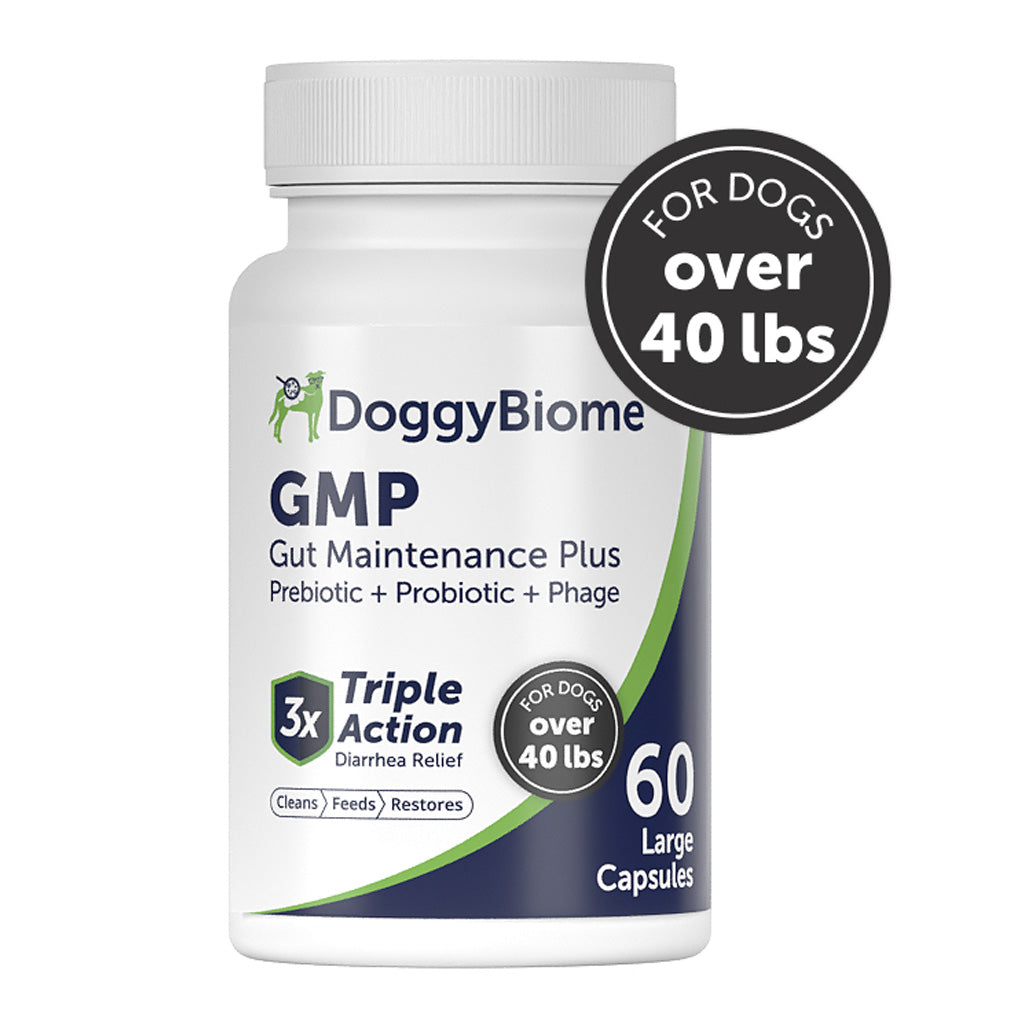 Doggy Biome GMP Gut Maintenance Plus for Dogs, 60-count