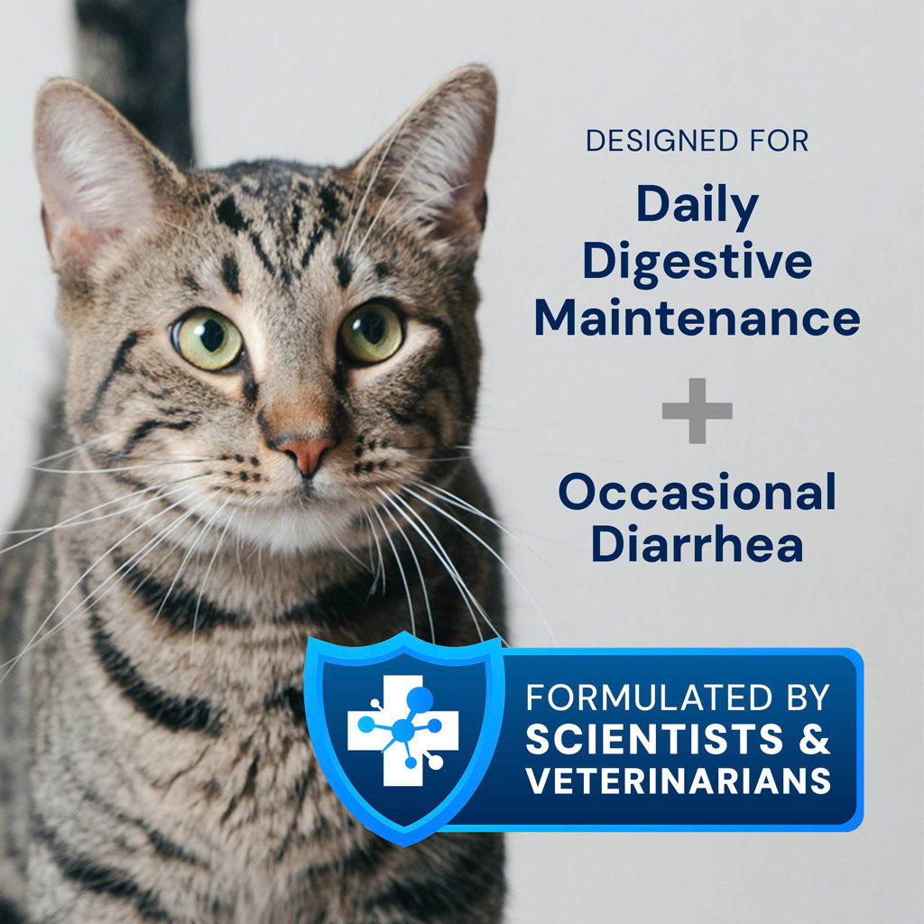 Kitty Biome GMP Gut Maintenance Plus Triple Action for Cats, 60 small capsules