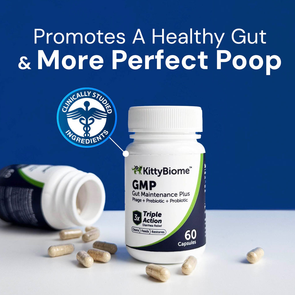 Kitty Biome GMP Gut Maintenance Plus Triple Action for Cats, 60 small capsules
