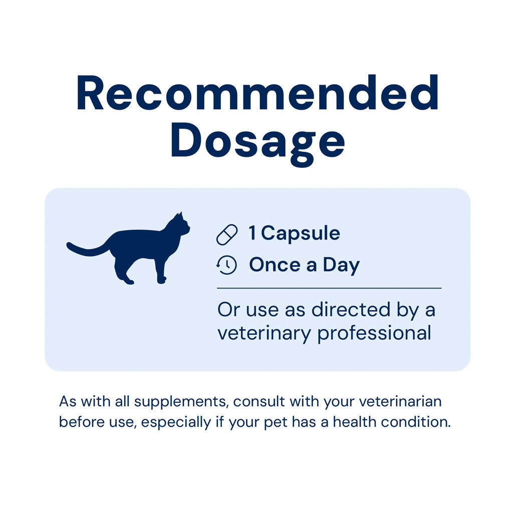 Kitty Biome GMP Gut Maintenance Plus Triple Action for Cats, 60 small capsules