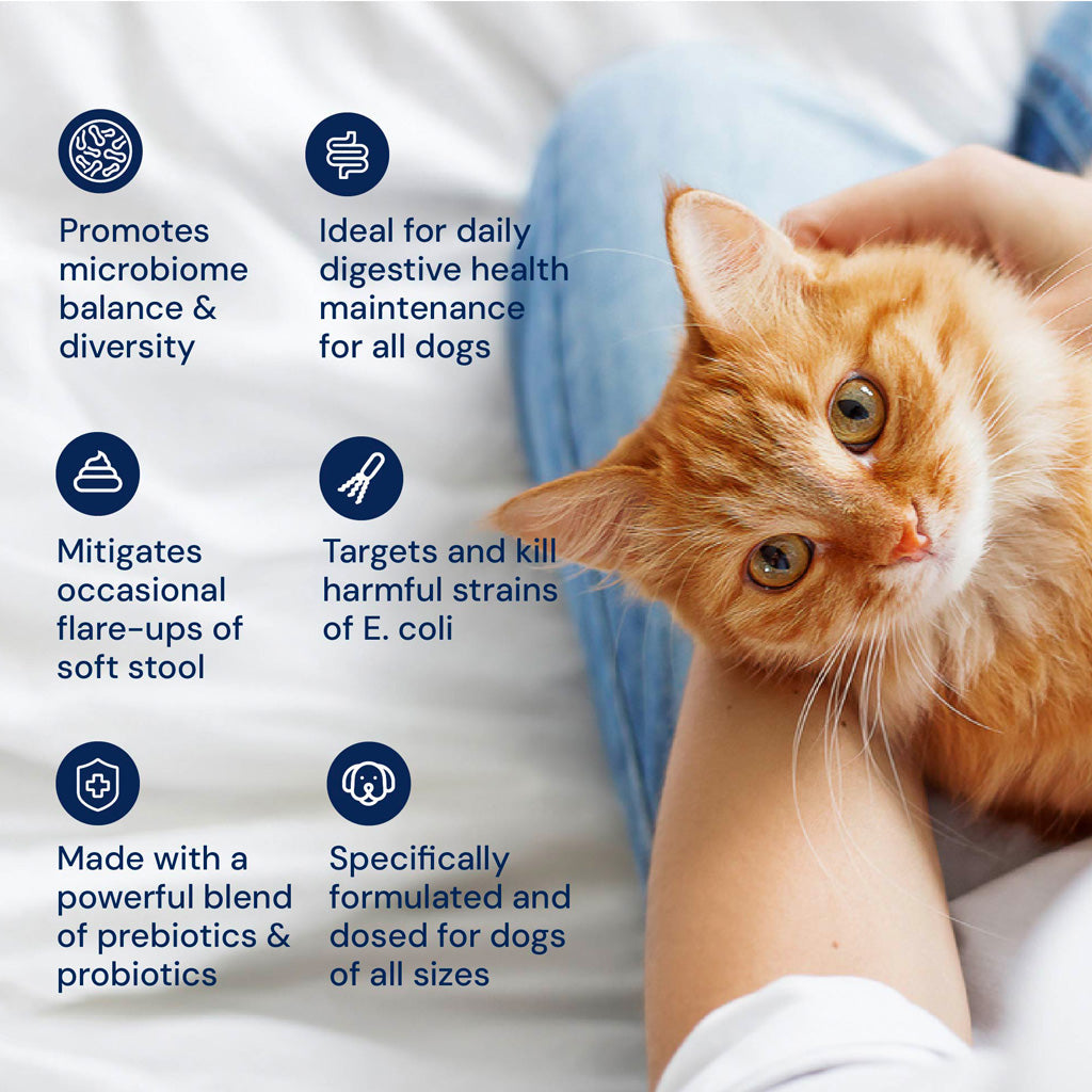 Kitty Biome GMP Gut Maintenance Plus Triple Action for Cats, 60 small capsules