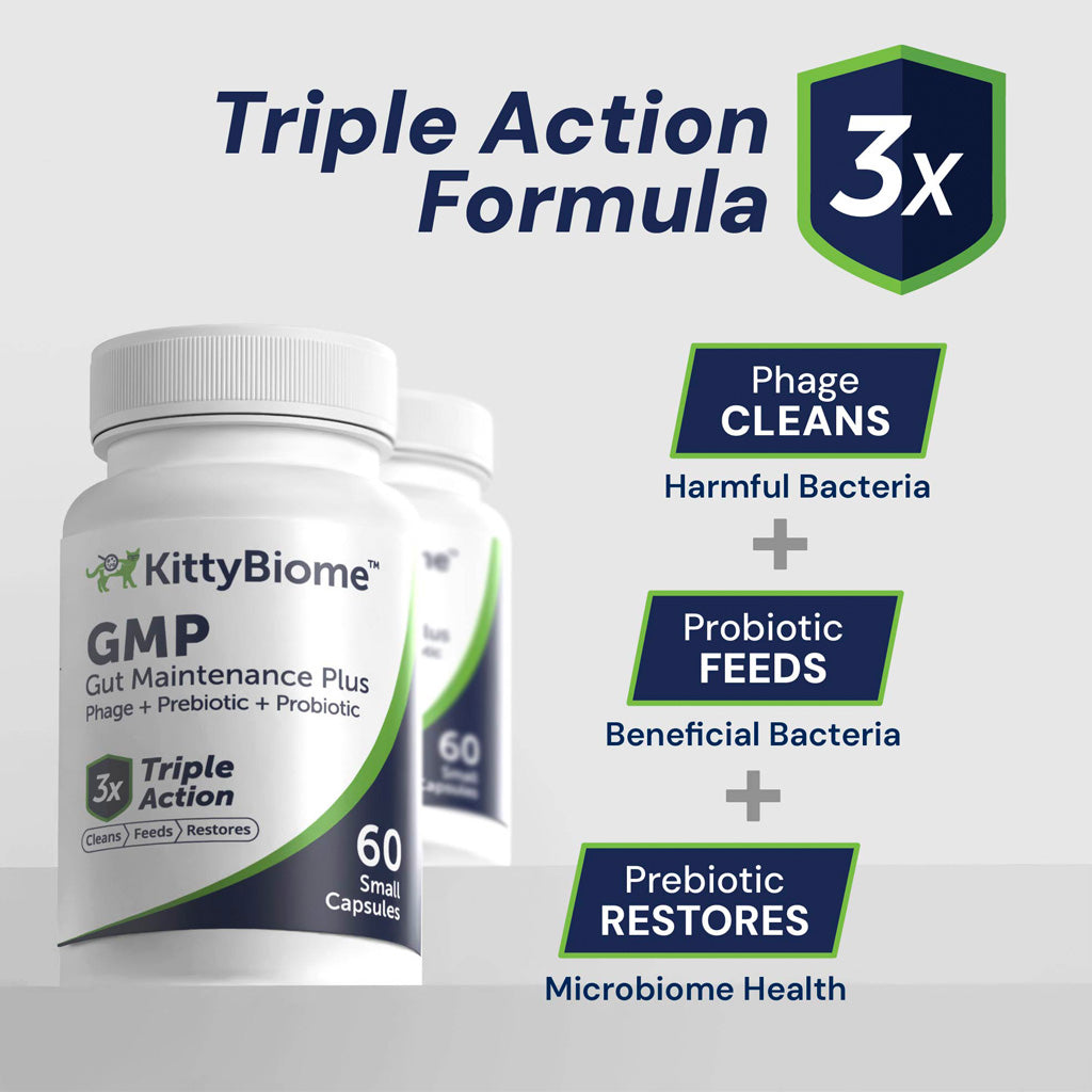 Kitty Biome GMP Gut Maintenance Plus Triple Action for Cats, 60 small capsules