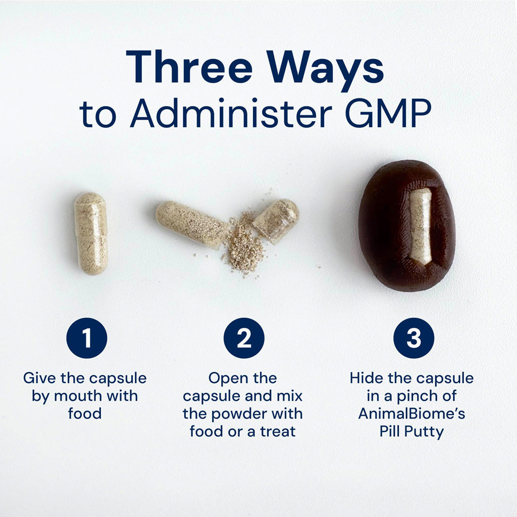 Kitty Biome GMP Gut Maintenance Plus Triple Action for Cats, 60 small capsules