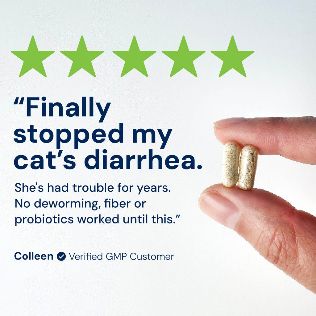 Kitty Biome GMP Gut Maintenance Plus Triple Action for Cats, 60 small capsules