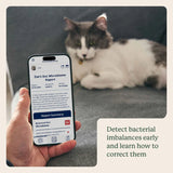 Kitty Biome At-Home Kit Gut Microbiome Test for Cats