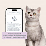 Kitty Biome At-Home Kit Gut Microbiome Test for Cats
