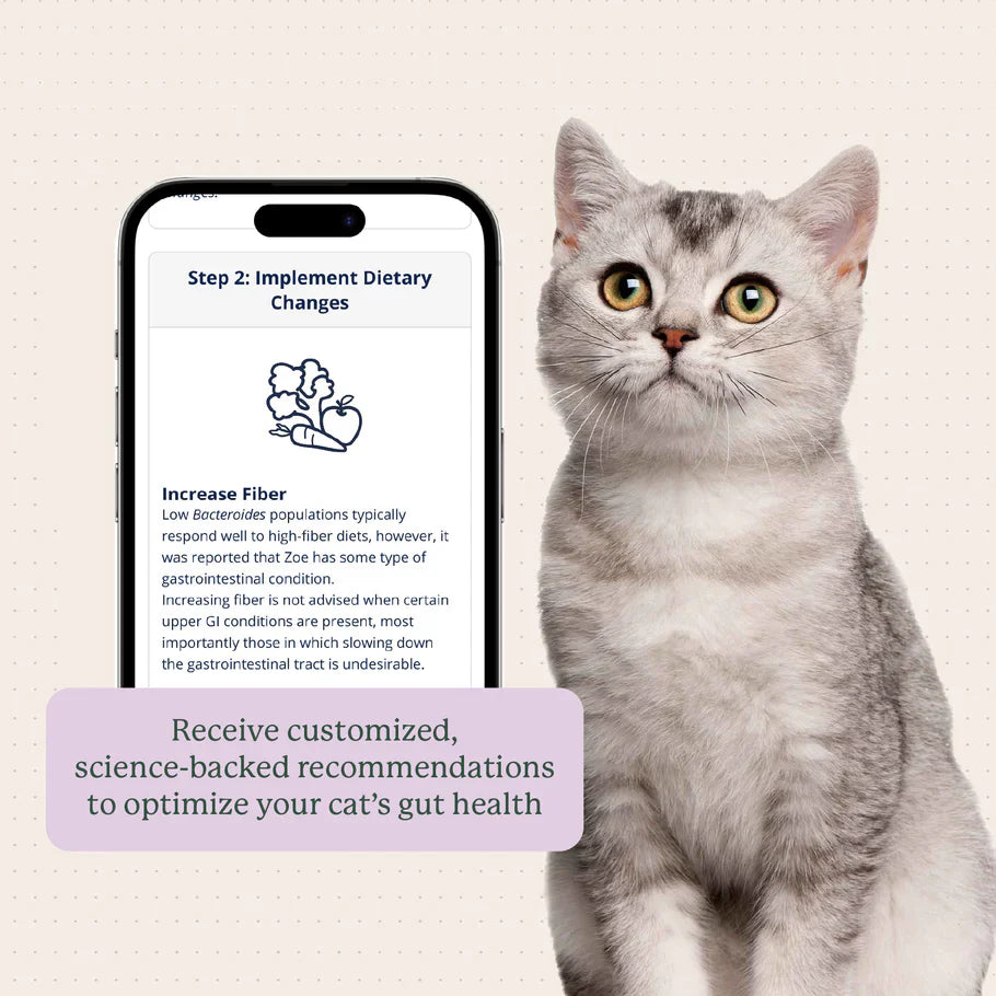 Kitty Biome At-Home Kit Gut Microbiome Test for Cats