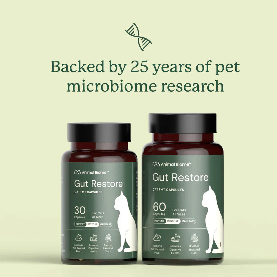 Kitty Biome Gut Restore Supplement FMT Capsules for Cats