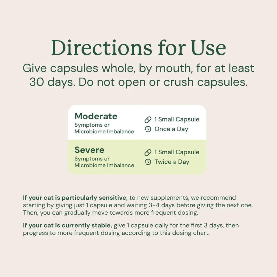 Kitty Biome Gut Restore Supplement FMT Capsules for Cats