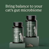 Kitty Biome Gut Restore Supplement FMT Capsules for Cats