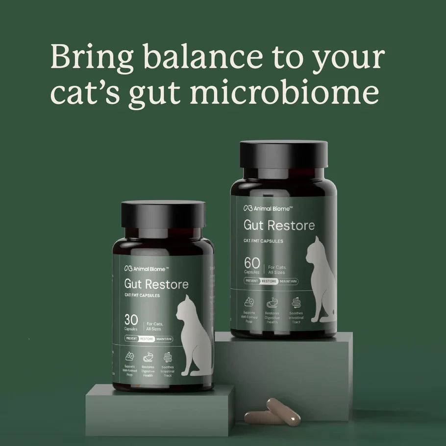 Kitty Biome Gut Restore Supplement FMT Capsules for Cats