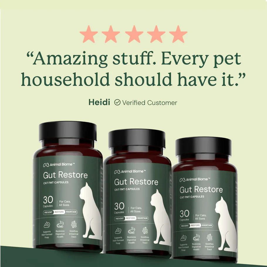 Kitty Biome Gut Restore Supplement FMT Capsules for Cats