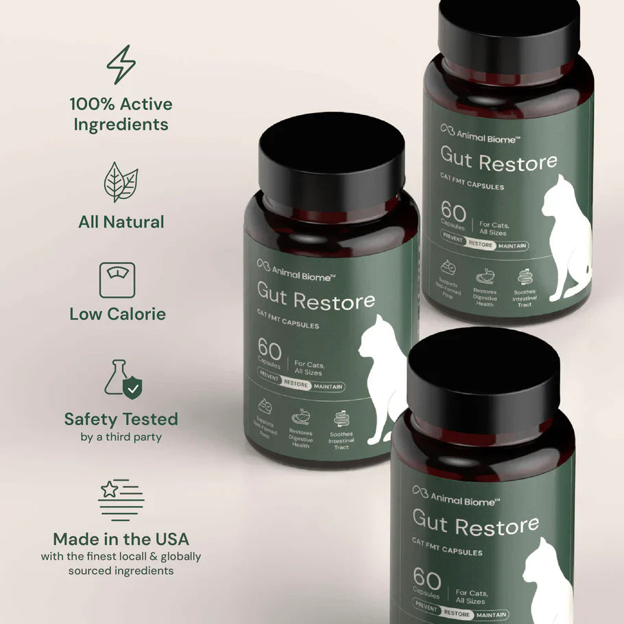 Kitty Biome Gut Restore Supplement FMT Capsules for Cats