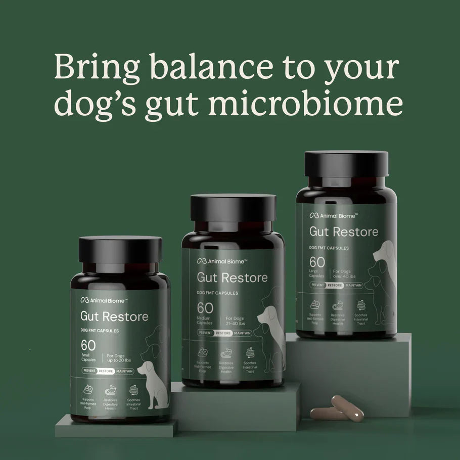 Doggy Biome Gut Restore Supplement FMT Capsules for Dogs