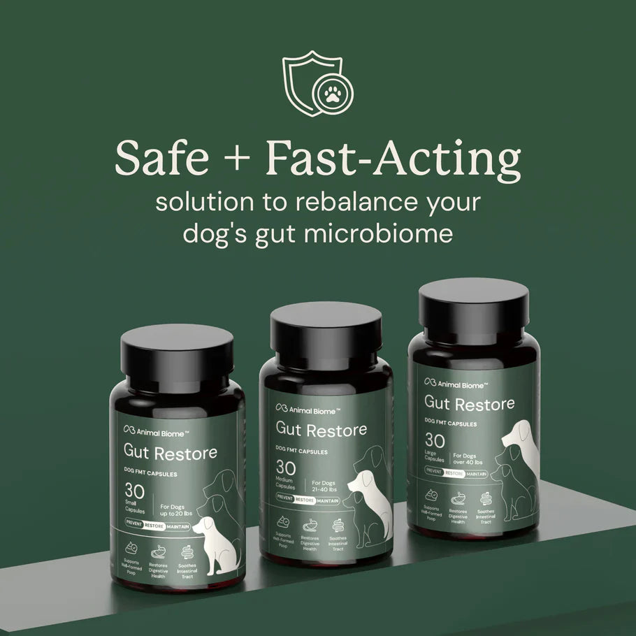 Doggy Biome Gut Restore Supplement FMT Capsules for Dogs