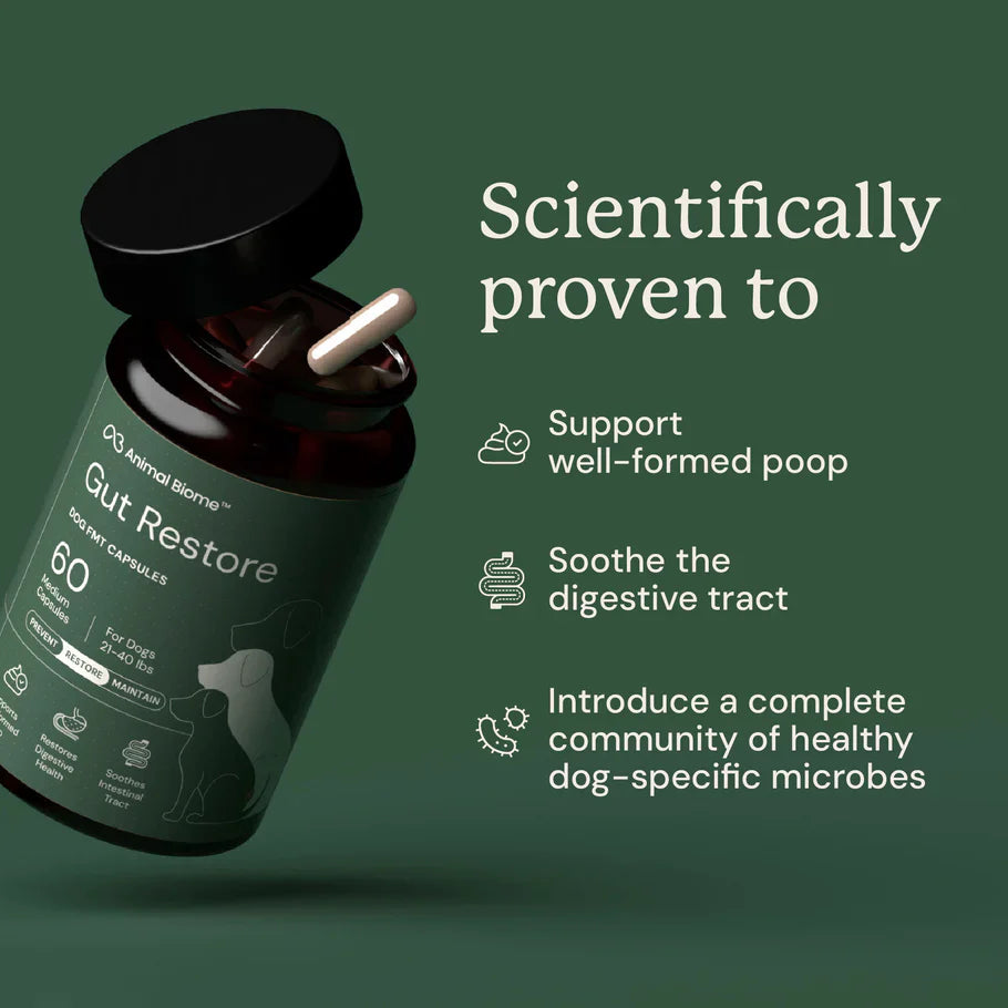 Doggy Biome Gut Restore Supplement FMT Capsules for Dogs