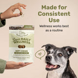 Badlands Ranch Super Soft Chews Food Supplement for Dogs, 60 count