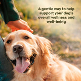 Badlands Ranch Super Soft Chews Food Supplement for Dogs, 60 count