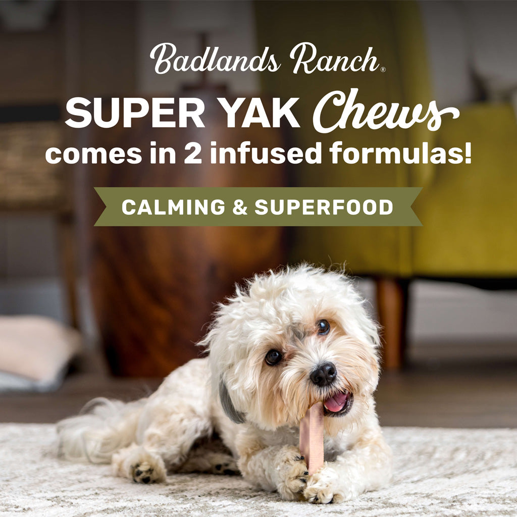 Badlands Ranch Superchew Calming Formula Dog Chews, Medium, 3-oz, 2-count