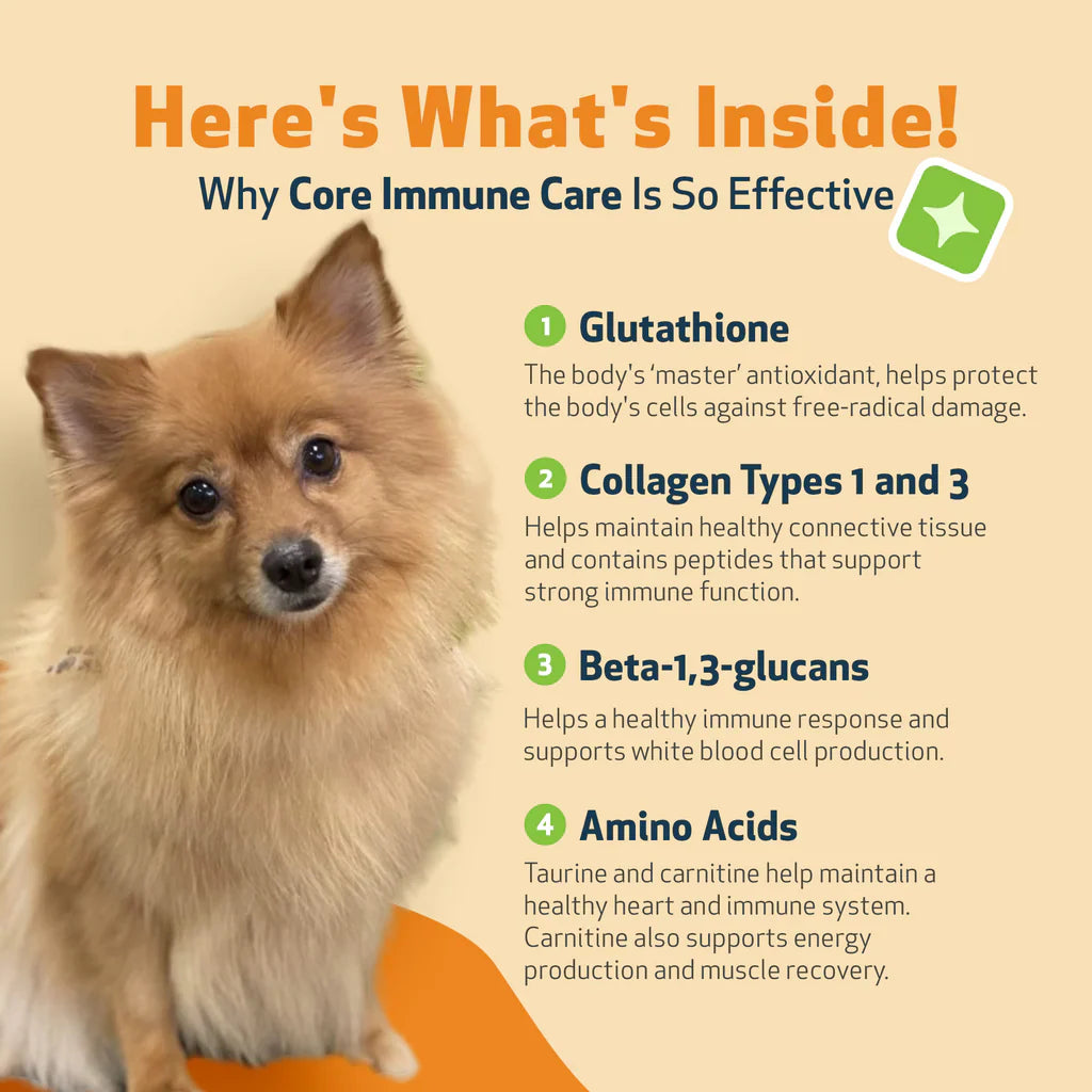 CORE IMMUNE CARE Daily Antioxidant and Nutritional Supplement for Dogs and Cats (3.7 oz)