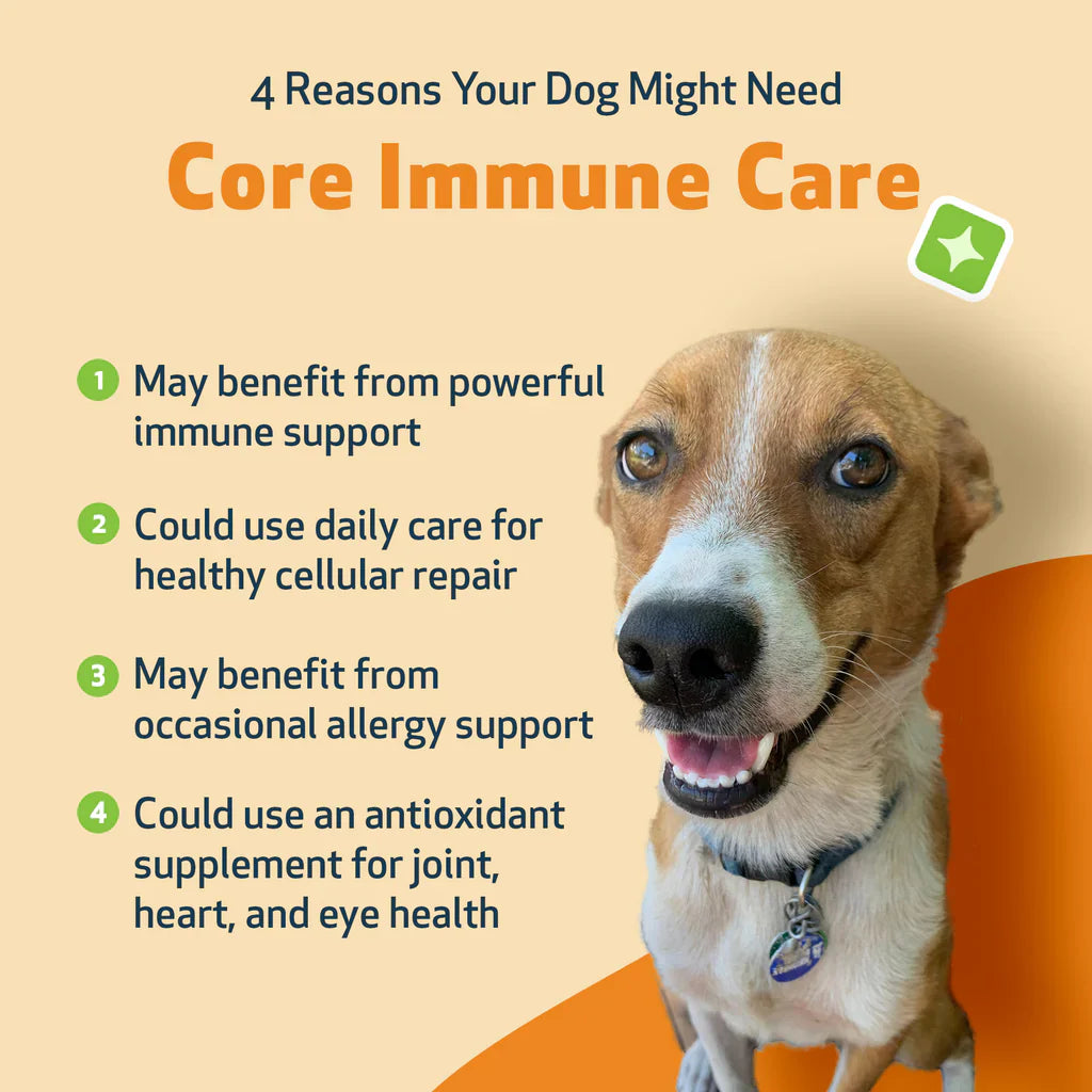 CORE IMMUNE CARE Daily Antioxidant and Nutritional Supplement for Dogs and Cats (3.7 oz)