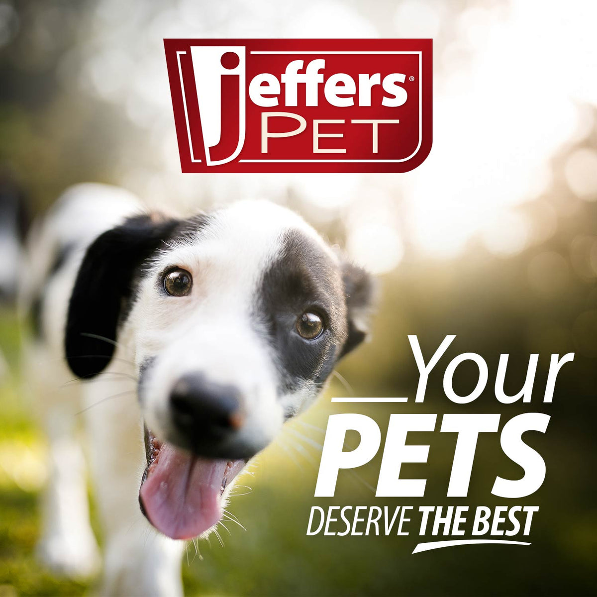 Jeffers Red Virgo Tugger Natural Rubber Dog Dental Chew Toy for Interactive or Solo Play