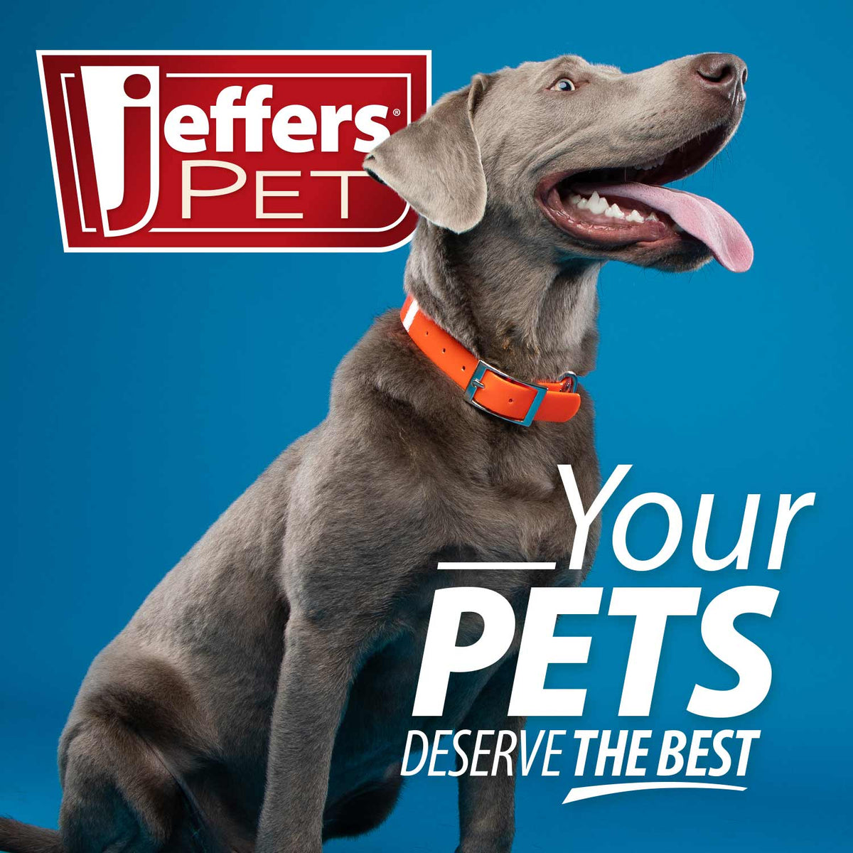 Jeffers UrinaryWes Urinary Support Supplement Powder for Dogs & Cats