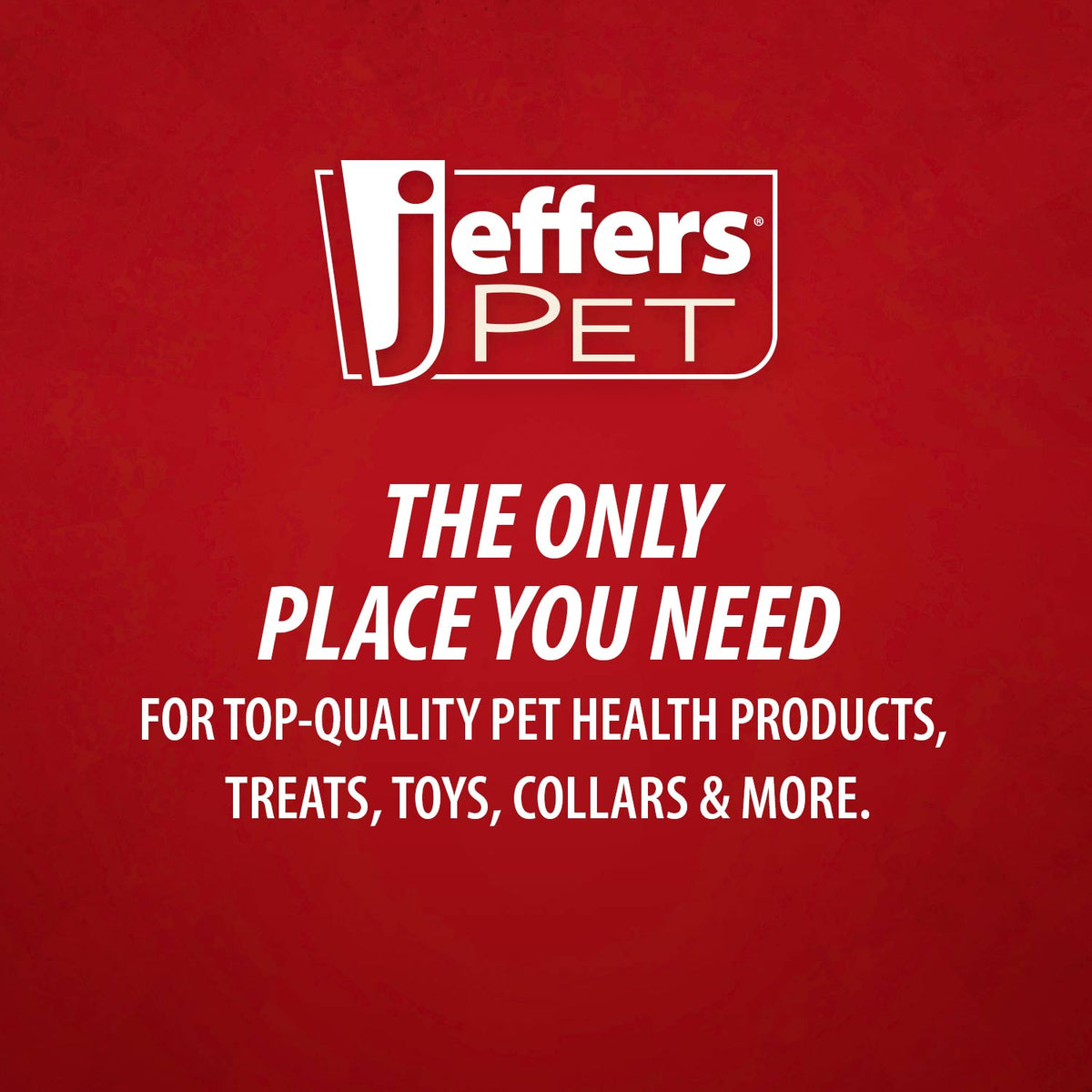 Jeffers Red Chameleon Natural Eco-Friendly Rubber Dental Dog Chew Toy for Medium Chewers