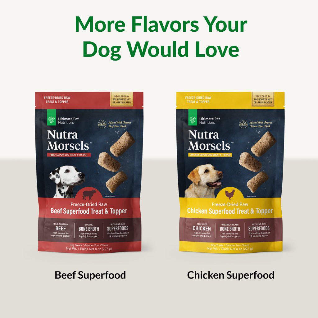 Ultimate Pet Nutrition Nutra Morsels Superfood Treat & Topper Freeze-Dried Raw Dog Treats