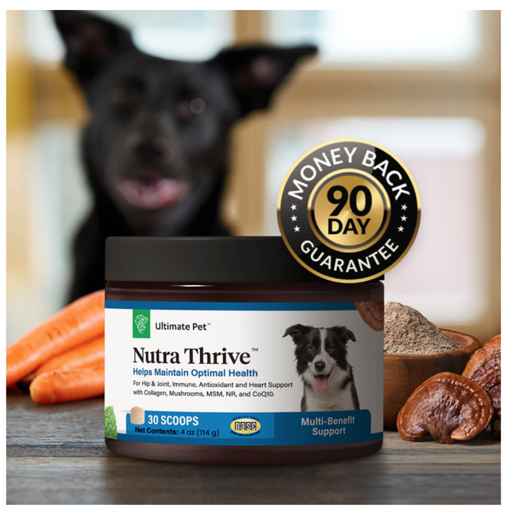 Ultimate Pet Nutrition Nutra Thrive Nutritional Supplements for Dogs, 3.3-oz