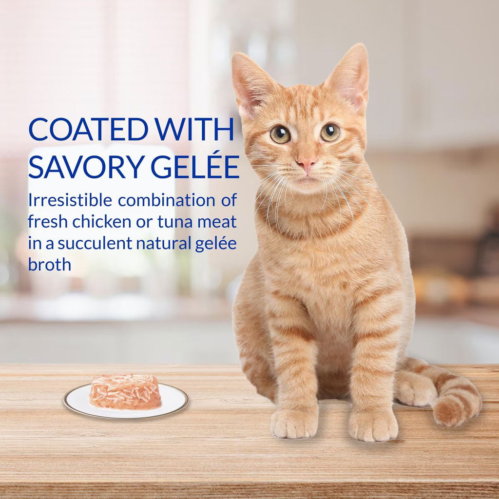Inaba Twins Tuna & Chicken with Scallop Recipe Grain-Free Cat Food, 1.23-oz