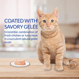 Inaba Twins Chicken Recipe Grain-Free Cat Food, 1.23-oz