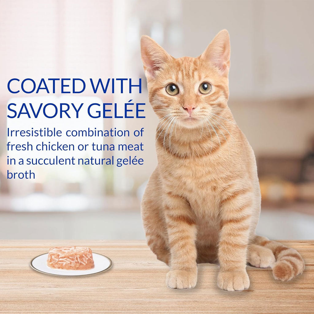 Inaba Twins Tuna & Chicken with Salmon Recipe Grain-Free Cat Food, 1.23-oz