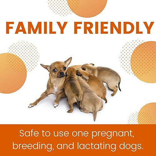ZoGuard Plus for Dogs - Medium 23 - 44 lb. - 3 applications