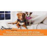 ThunderShirt Sport Dog Anxiety Solution - Medium - Platinum